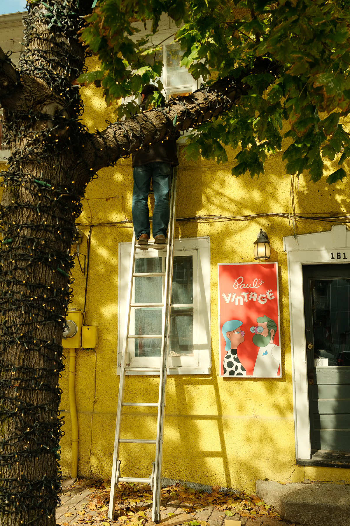 Man standing on a ladder in front of a yellow store called Paul's Vintage