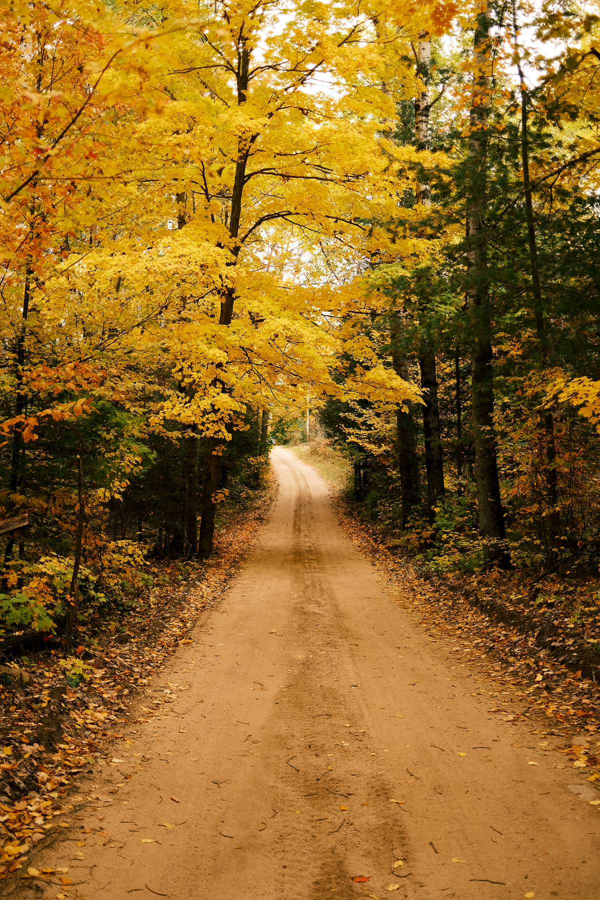 Looking down the road surrounded in falls leaves