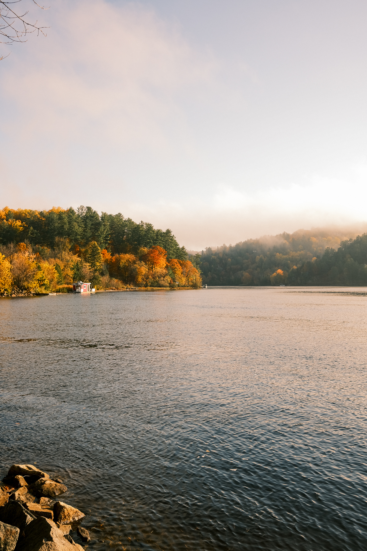 Foggy morning shot of a lake in the fall