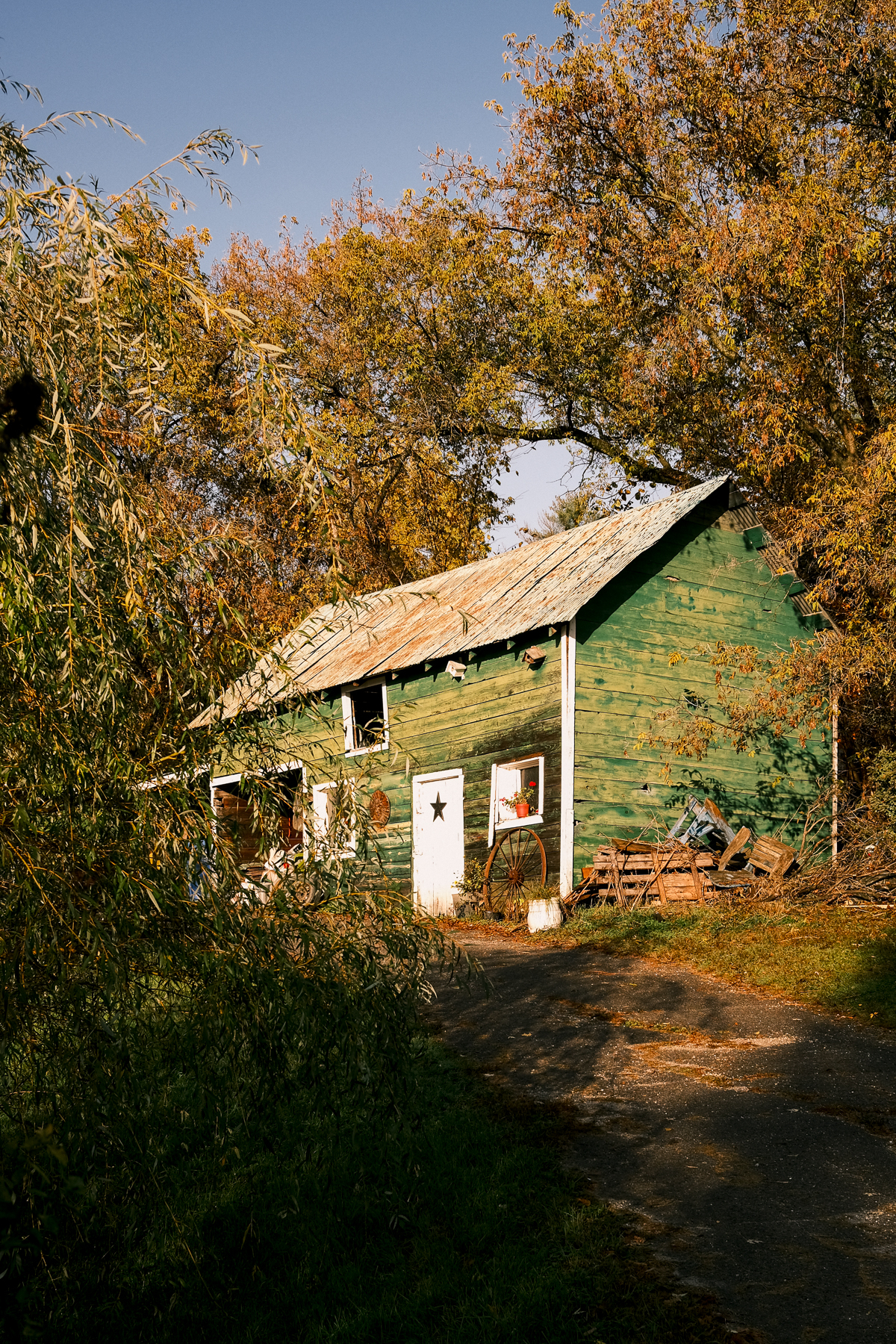 Picture of a green barn