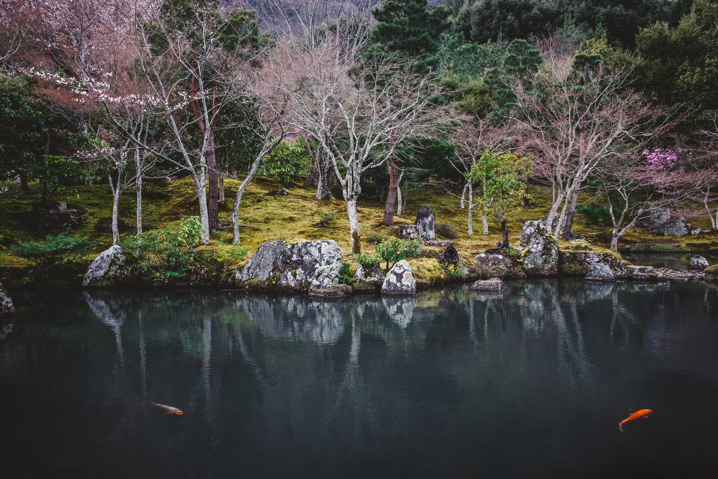 Nara, Japan 2019