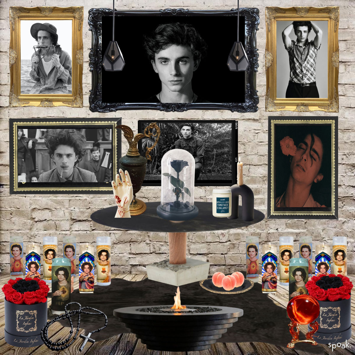 Timothée Chalamet Shrine designed by Amber Wilcox