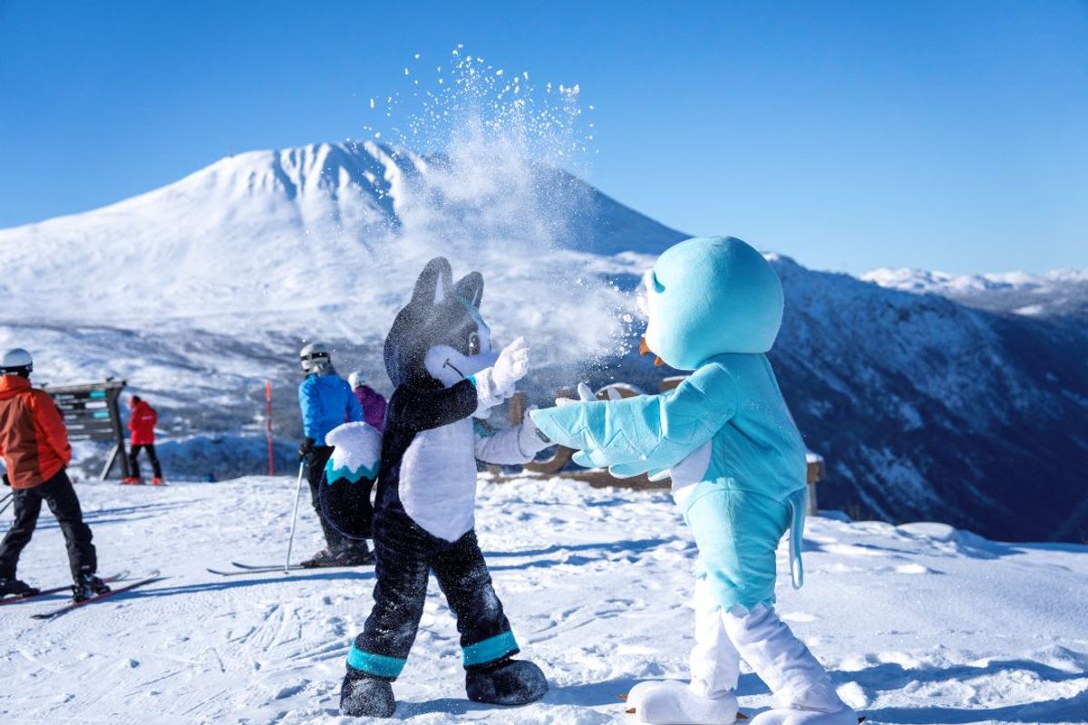 Huski Flaks Yngve Ask Vinter Snø Gausta Skiltet 1080x720