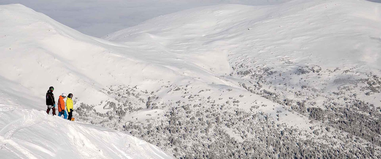 skibig3-blog-travel-alberta-marmot-basin-mountain-collective