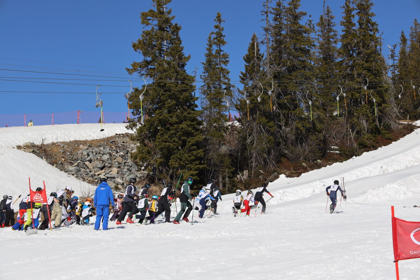 Dashforcash 138 Nmbgq3