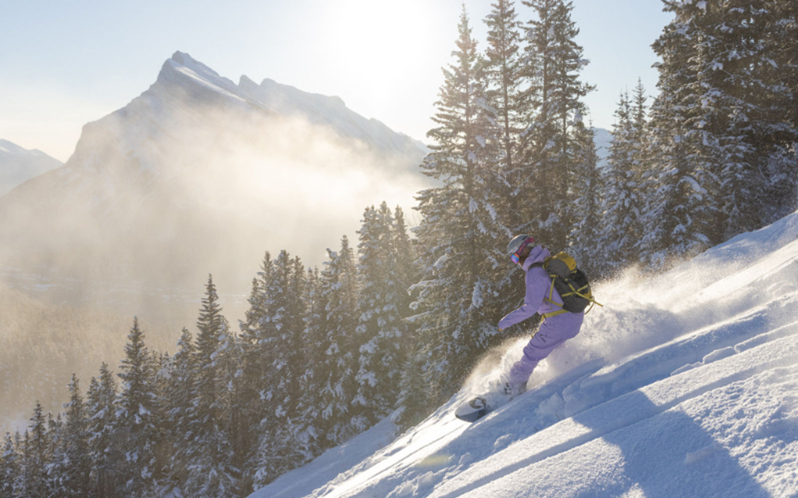 Spotlio in Text Images (35)