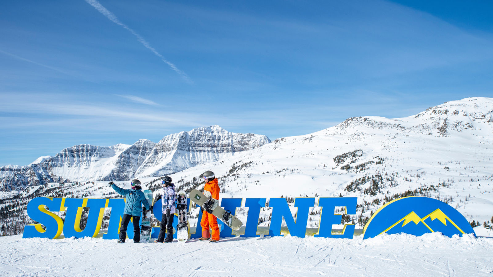 Spotlio   Header Image  (7)