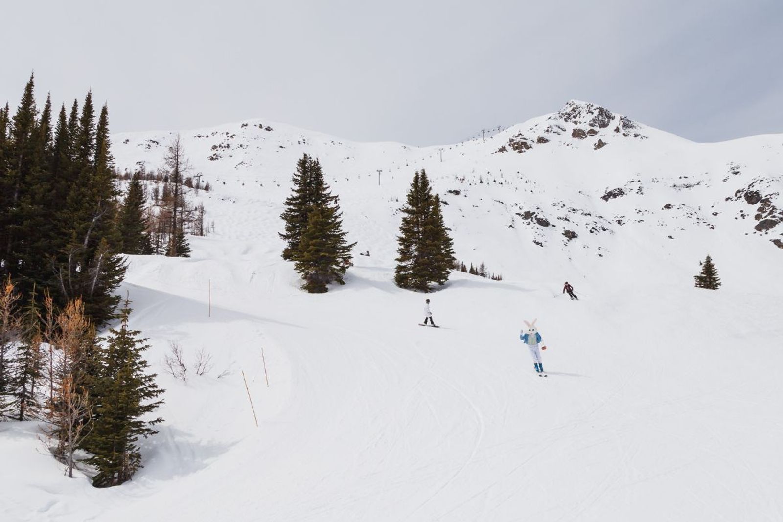 Cover Easter Weekend in Banff Shannon Martin