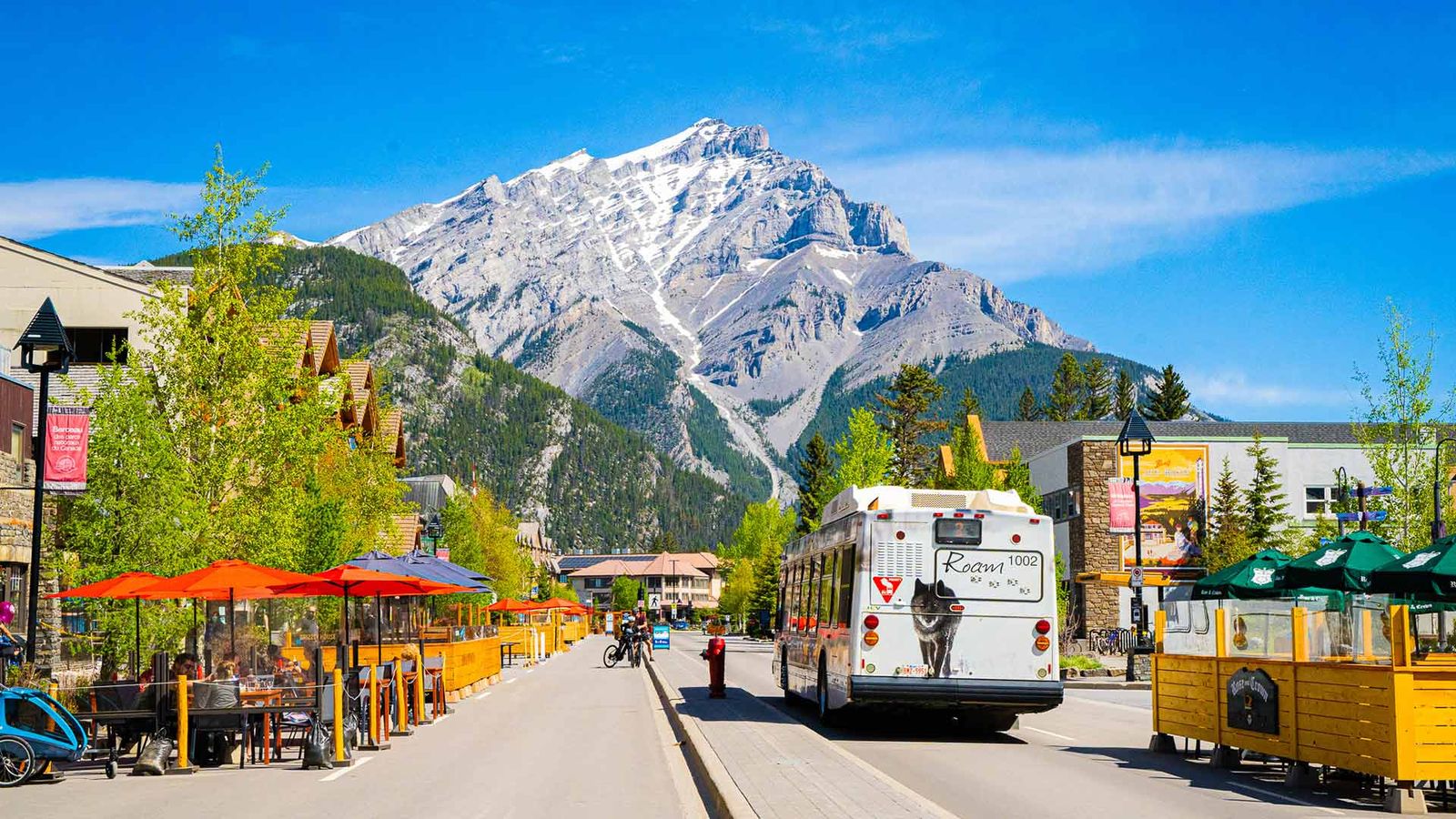 Health & Safety Protocols for Summer