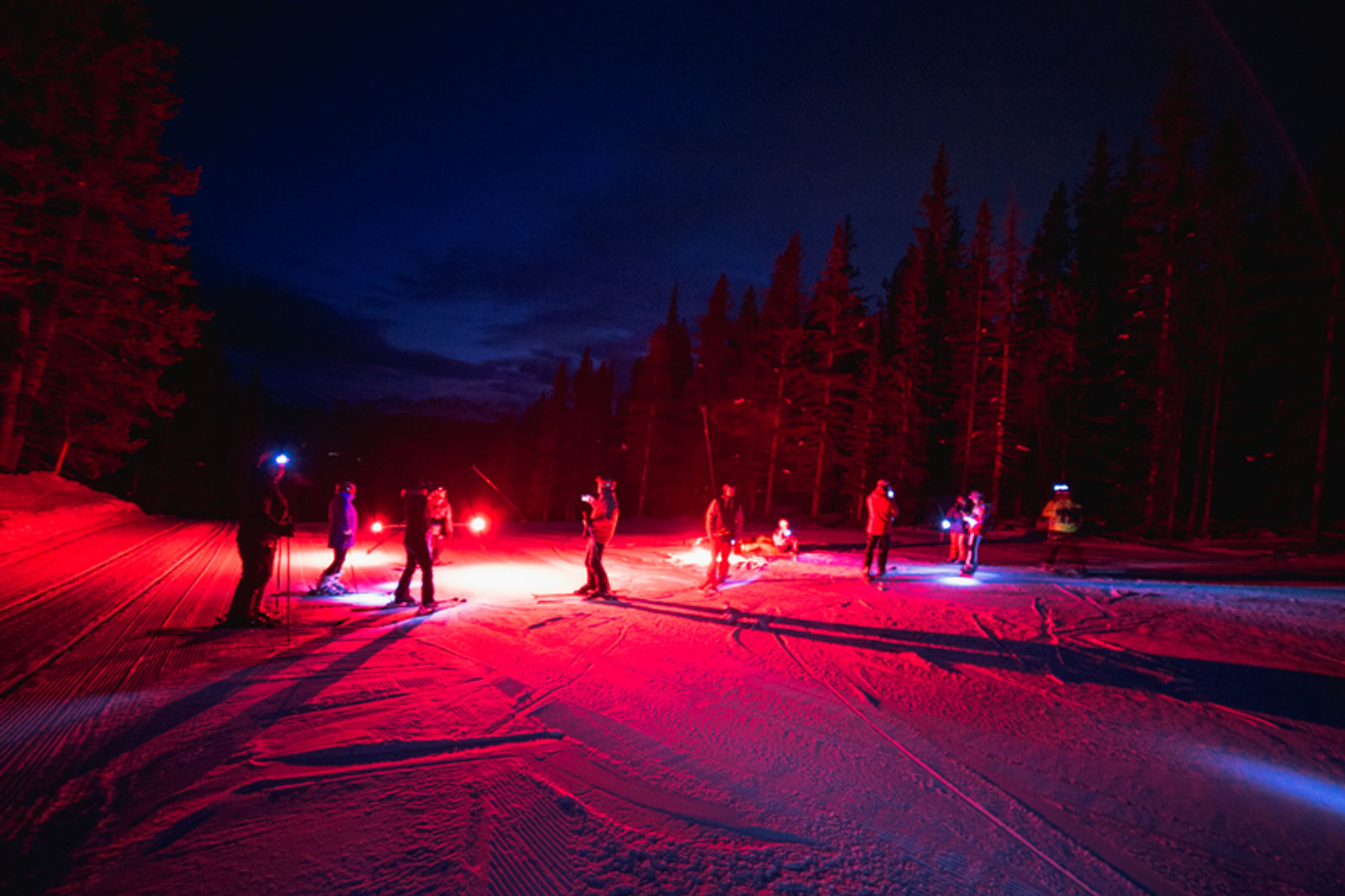 Torchlight