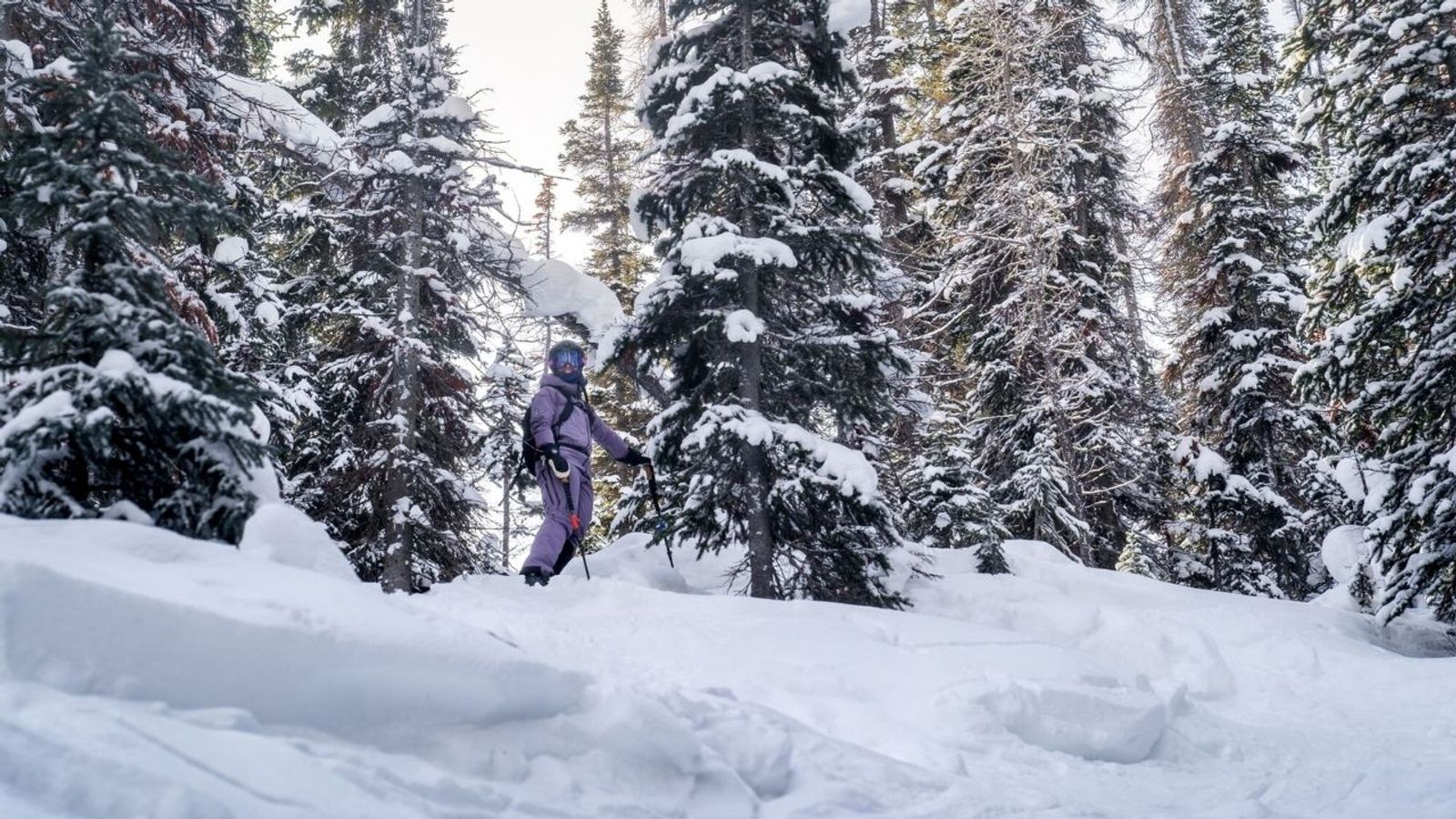 Spotlio Header Image (1)