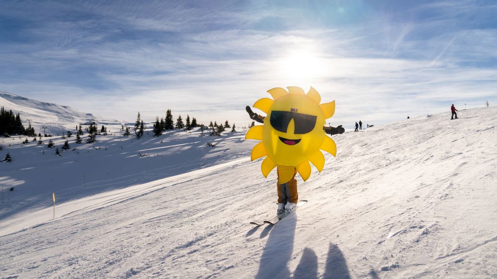 Spotlio   Header Image  (4)