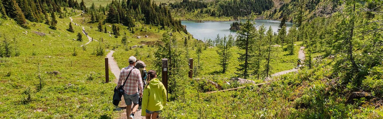 Sunshine-Meadows-Hiking