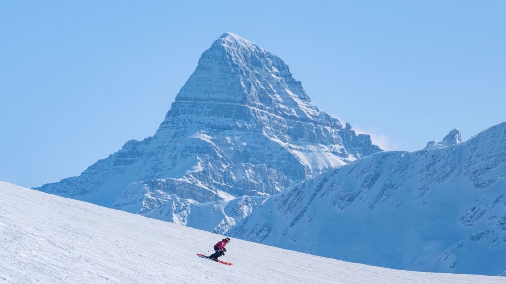 Spotlio   Header Image  11