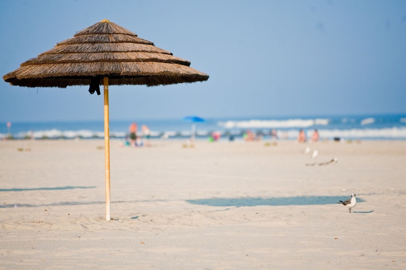Spv Beach Umbrellas for Paint