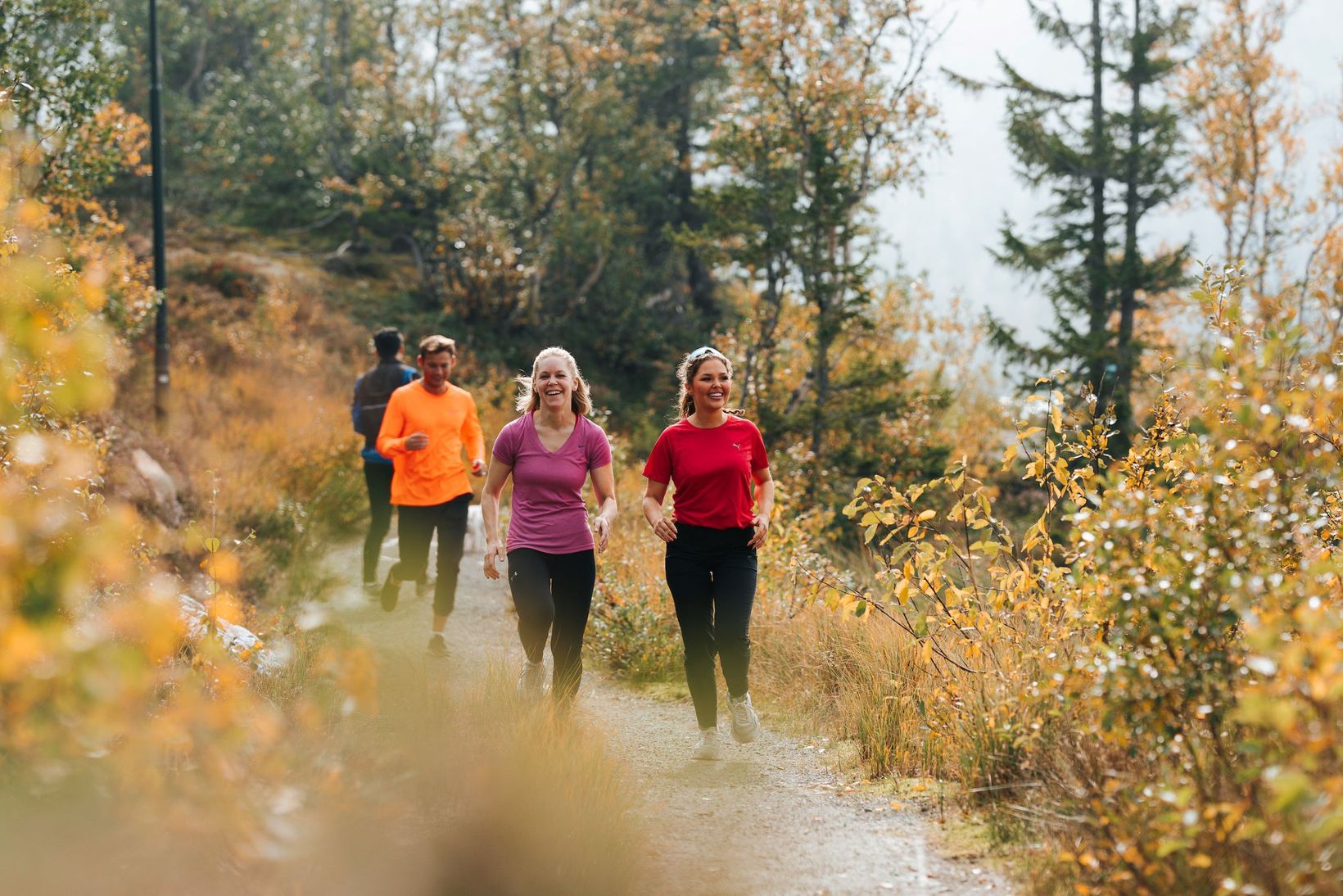 Fjellvandring Kvitåvatn Jogging