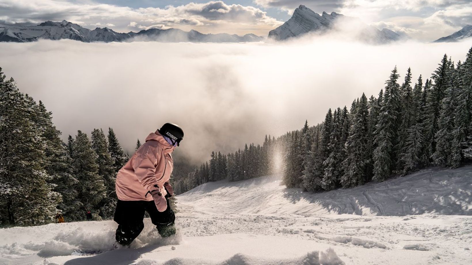 Spotlio   Header Image  (15)