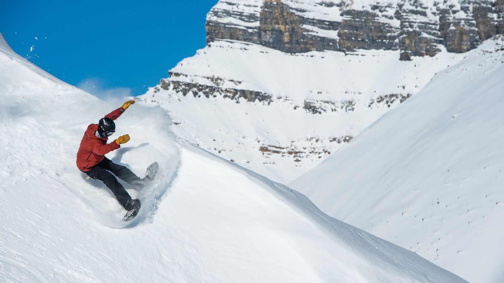 Spotlio   Header Image  (23)