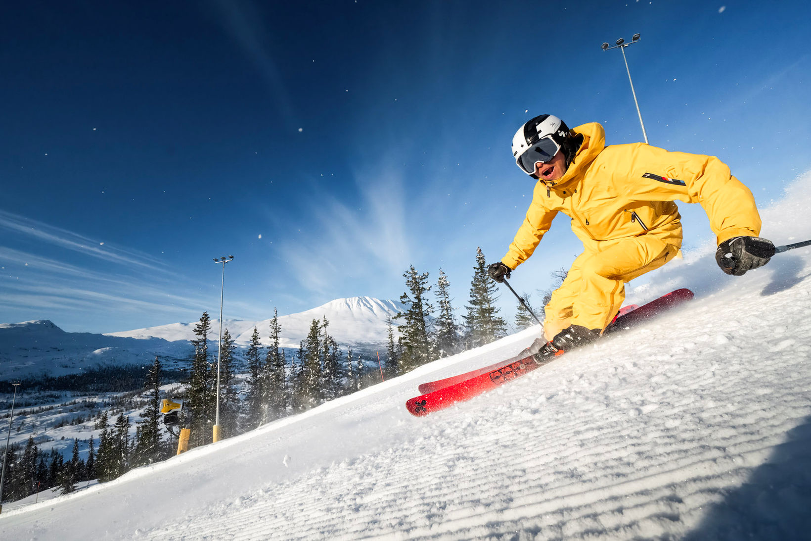 Gausta Skisenter Bjorn Ski Vinter Ski Pri Skikjøring