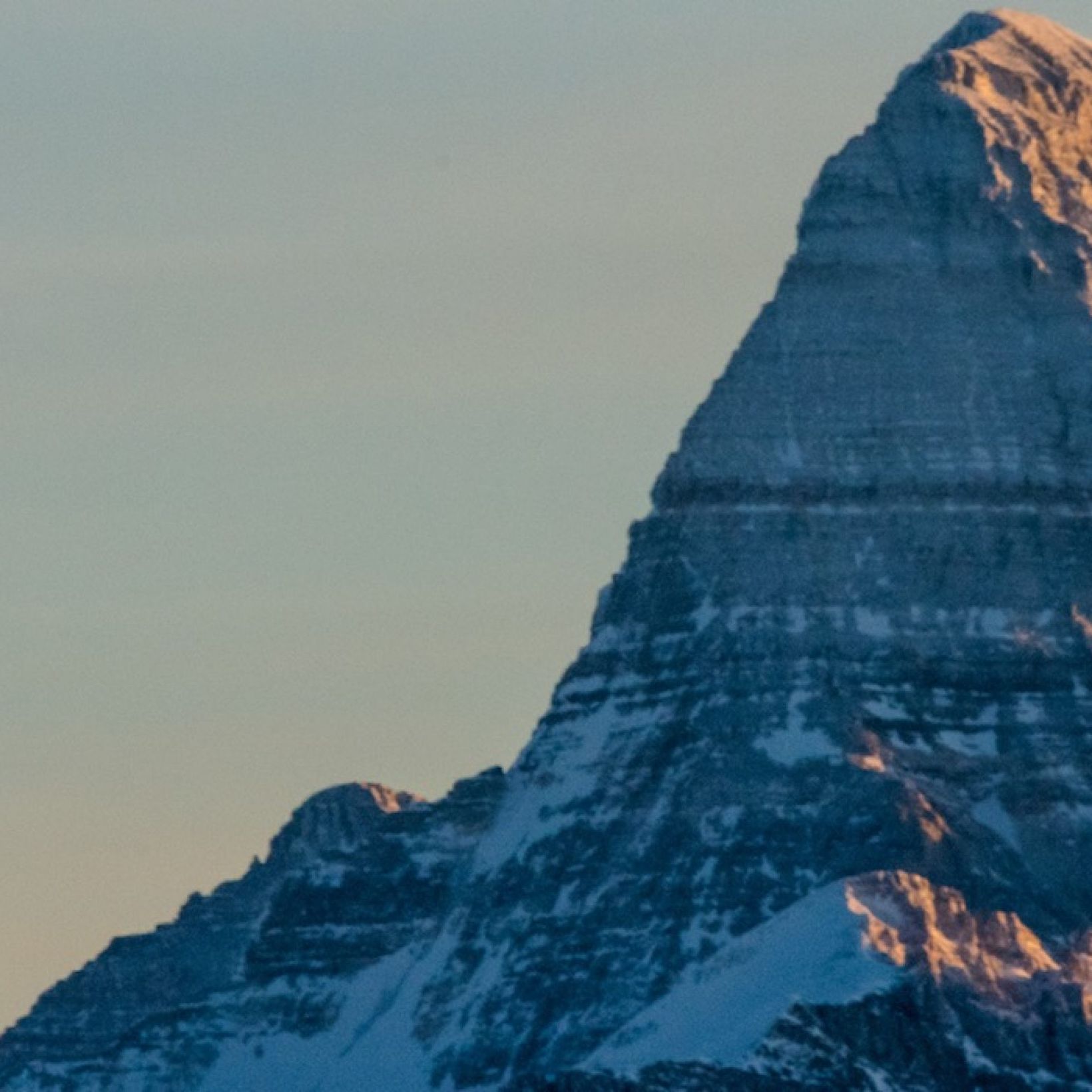 Copyright Reuben Krabbe 2011