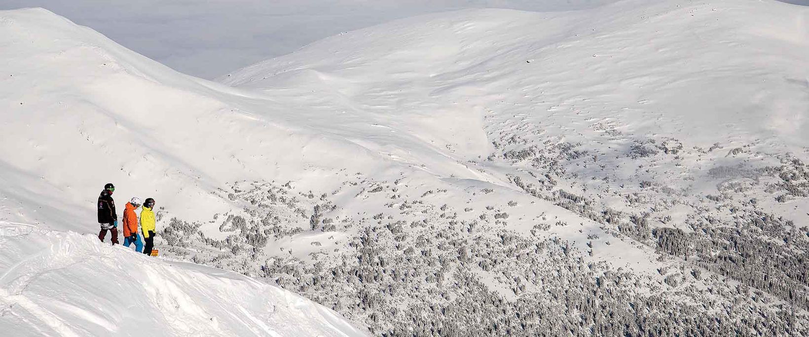 skibig3-blog-travel-alberta-marmot-basin-mountain-collective