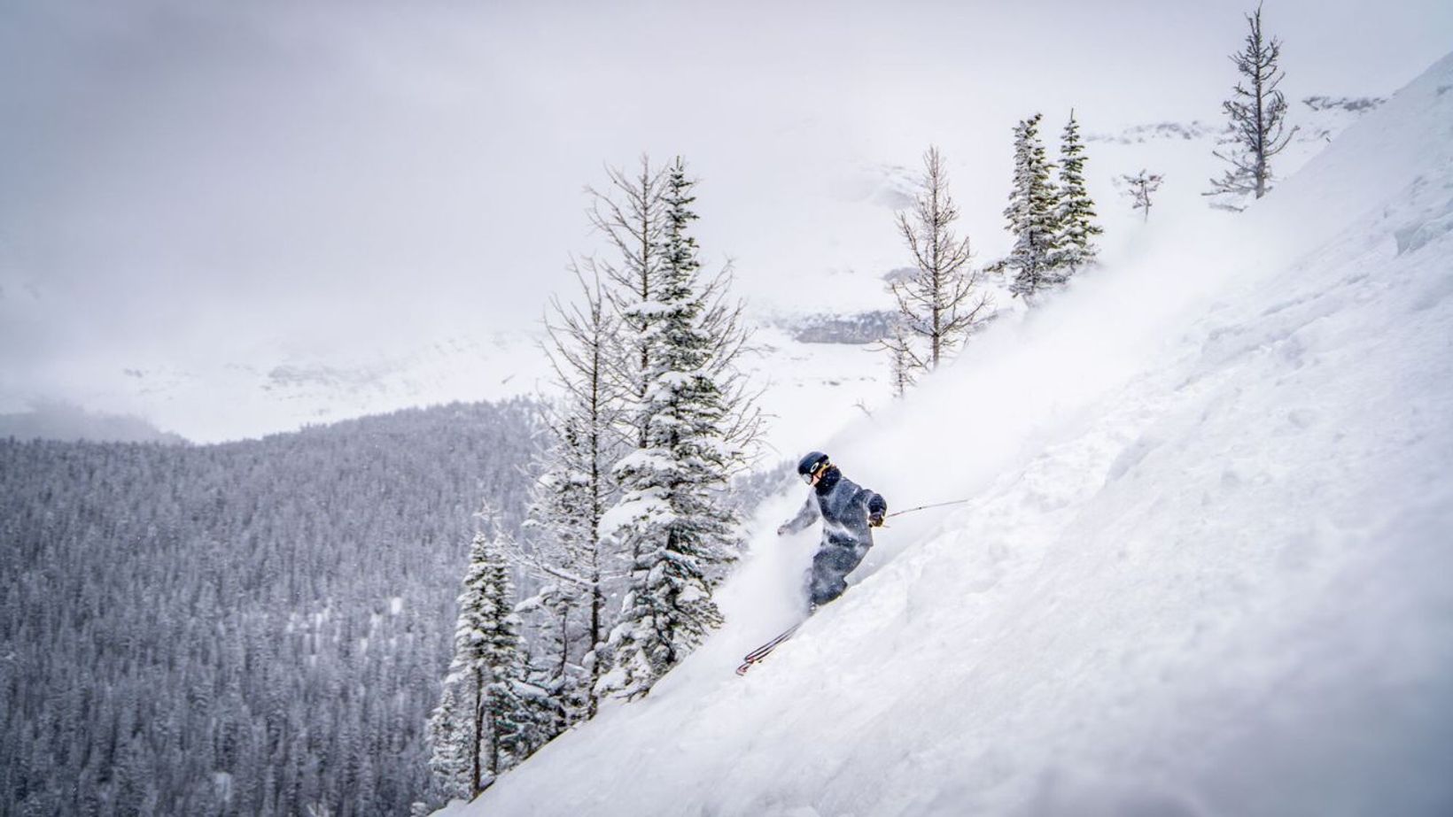 Spotlio   Header Image  7