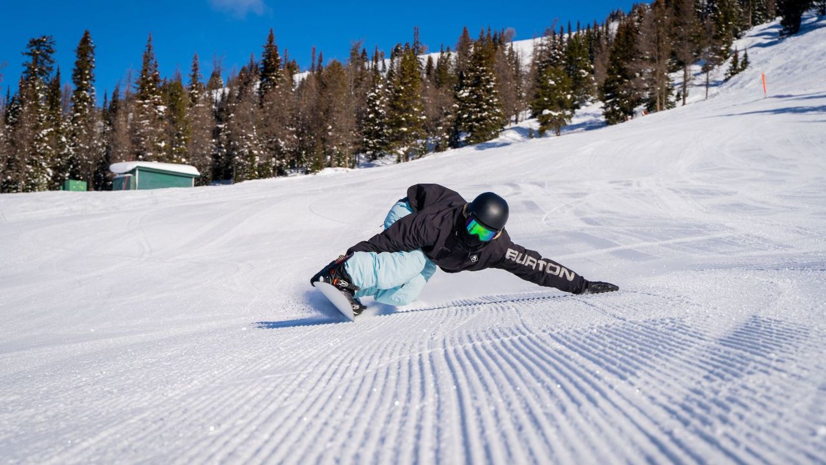 Spotlio   Header Image  (13)