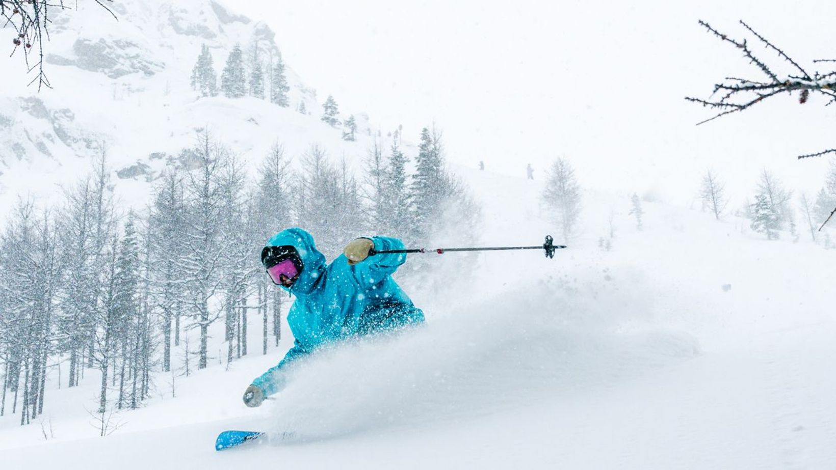 Spotlio   Header Image  (9)