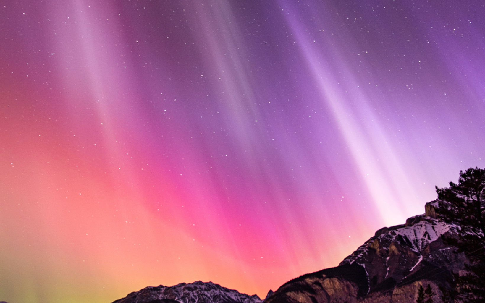 Spotlio   in Text Images (17)