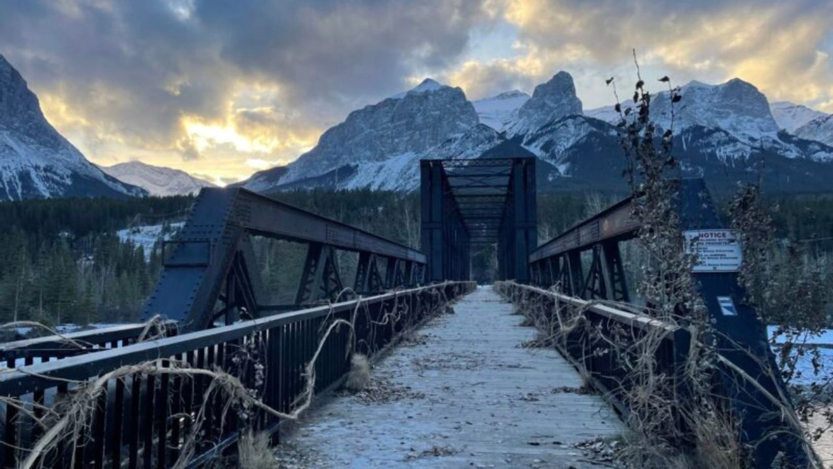 Spotlio   Header Image  10