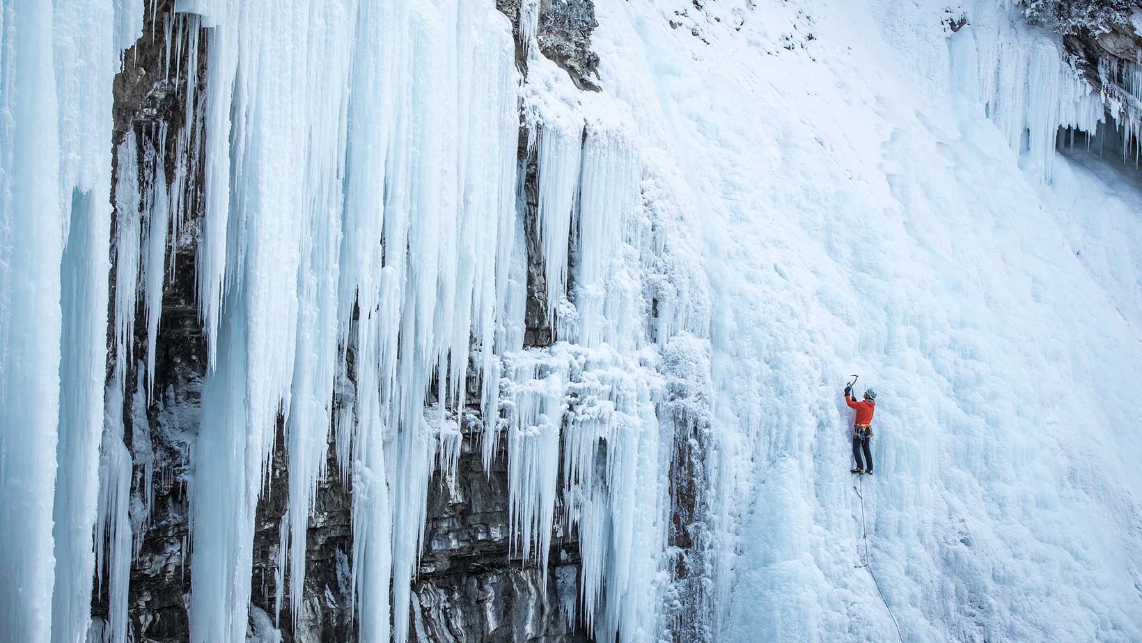 Photo by Banff & Lake Louise Tourism / Noel Hendrickson