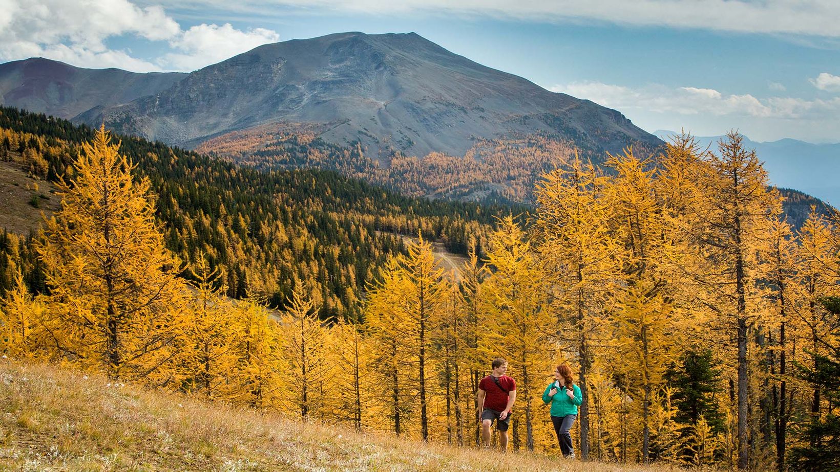 Larch Valley at Sentinel Pass in Banff National Park, photo by Paul Zizka