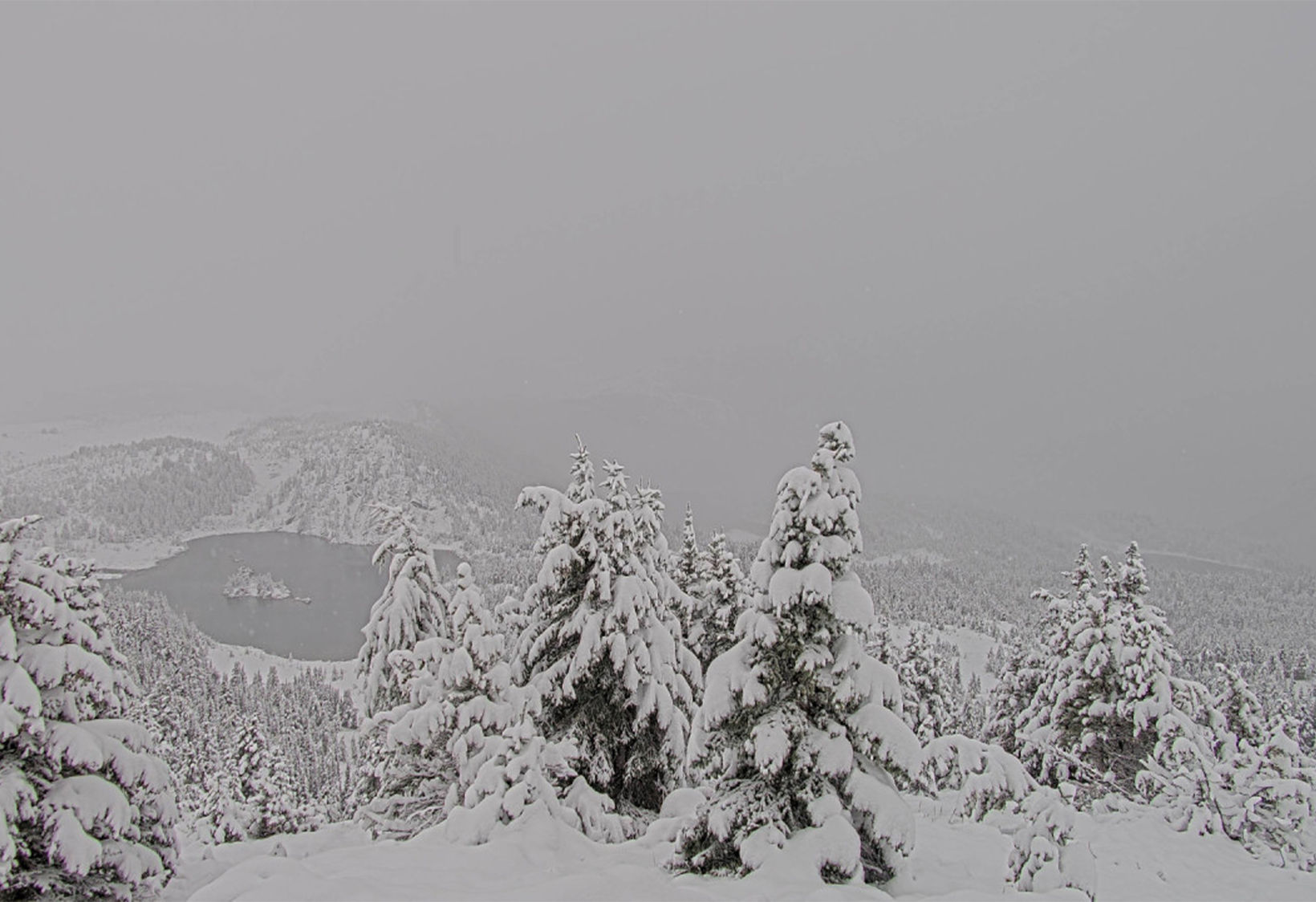 Bsv First Snowfall2425