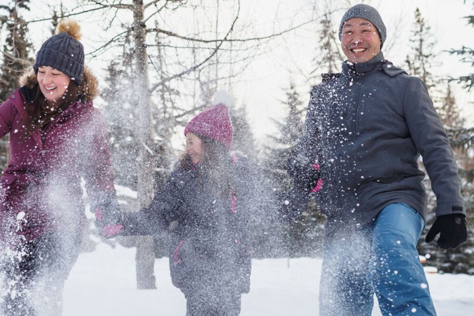 Snow Days.jpg