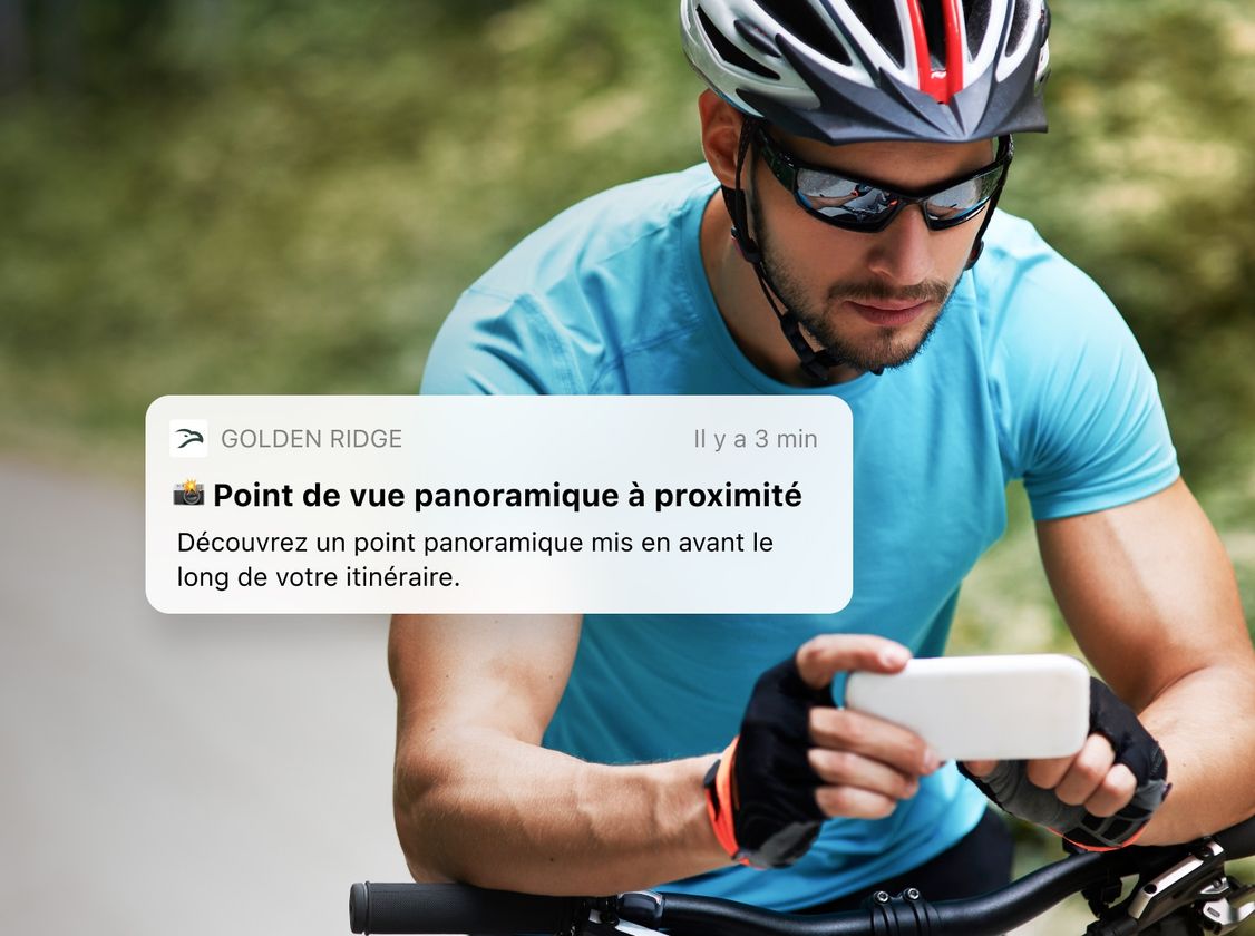 Card 1 Grid3col Boxed Fr