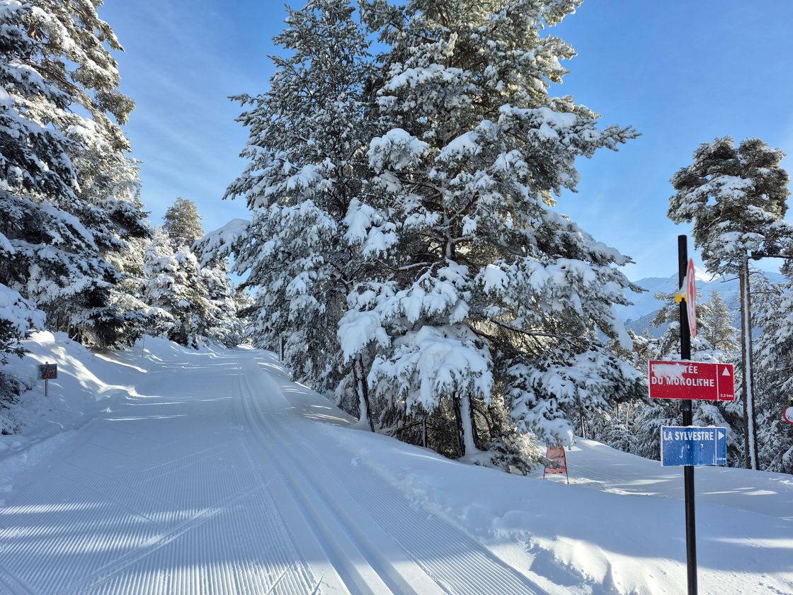 20260213 093311