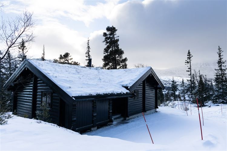 Gaustablikk Fjellhytter #603