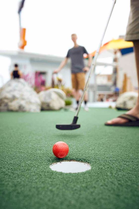 Mini Golf IP D8182