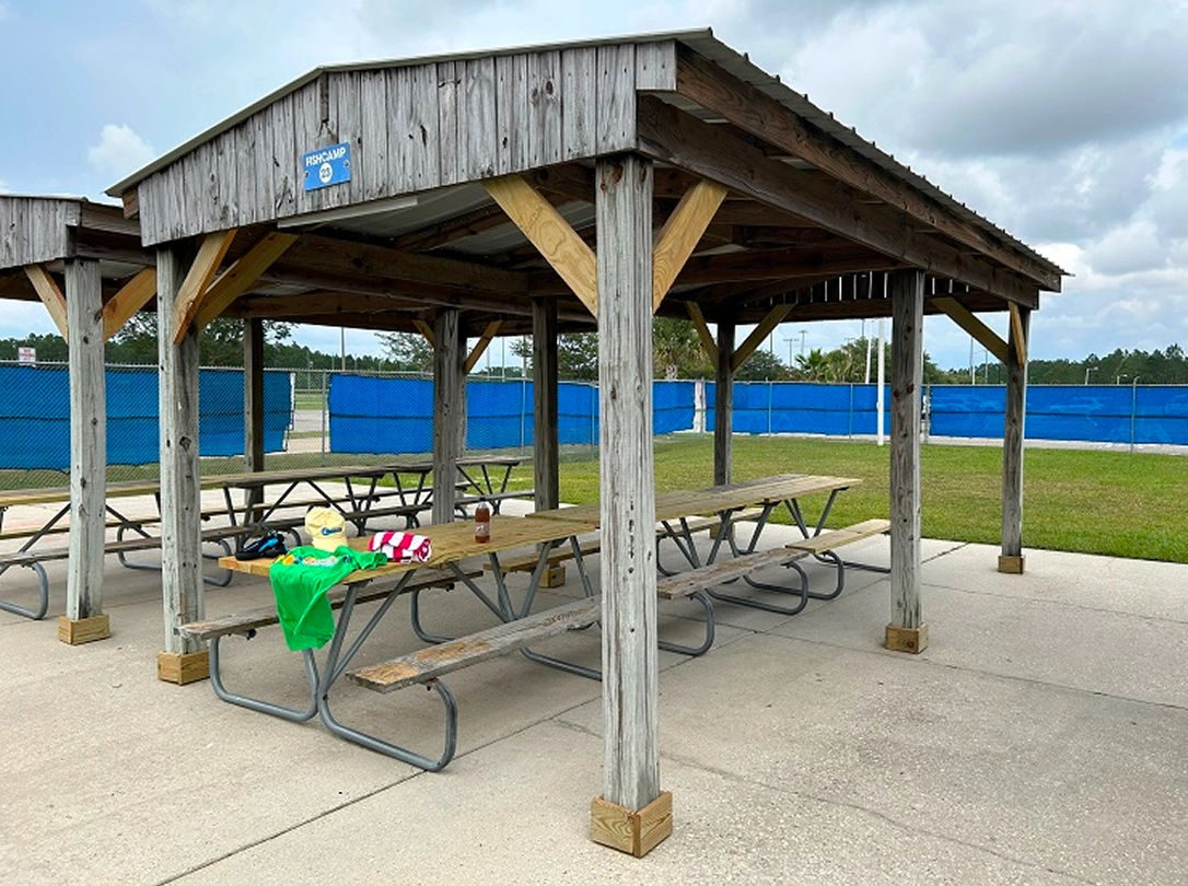 Fish camp 