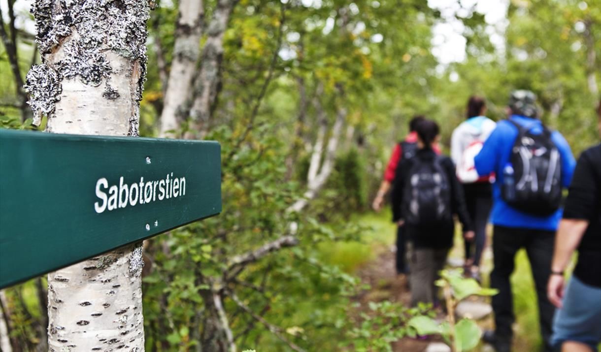 Sabotørstien   Visit Rjukan