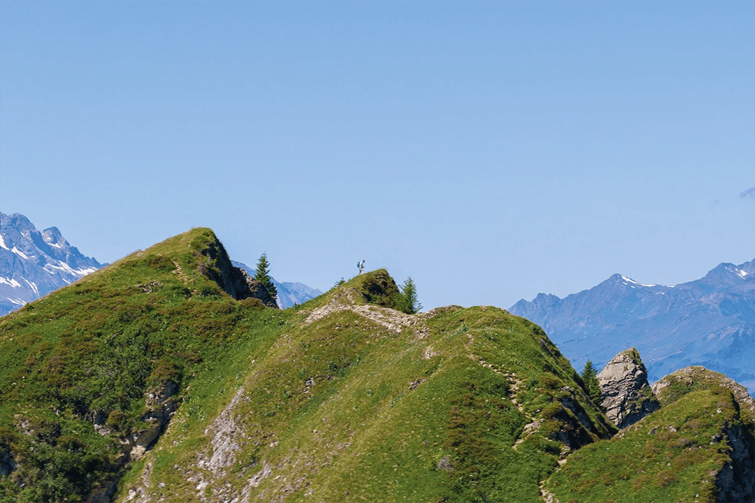 CTA   Sentier Des Edelweisss 2