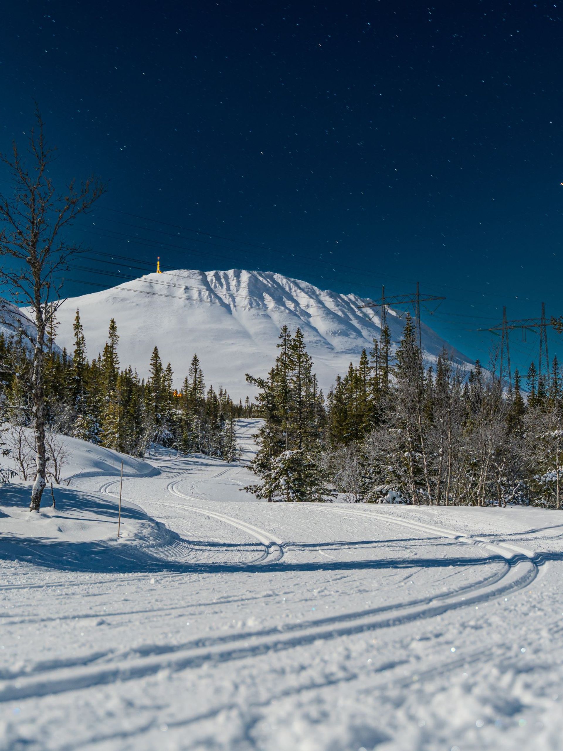 Cross-country skiing