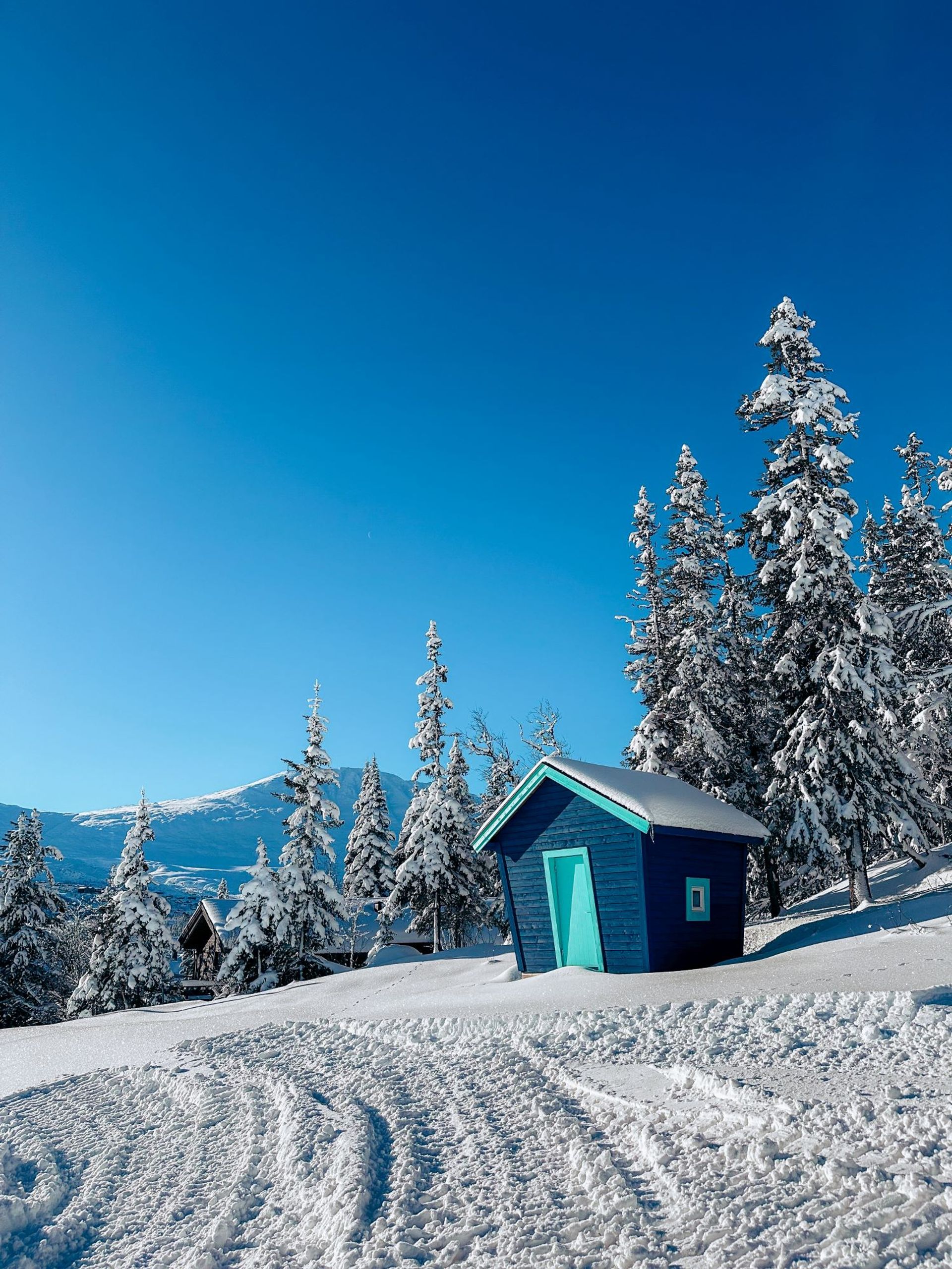 Aktivitet utenfor Huski's hus