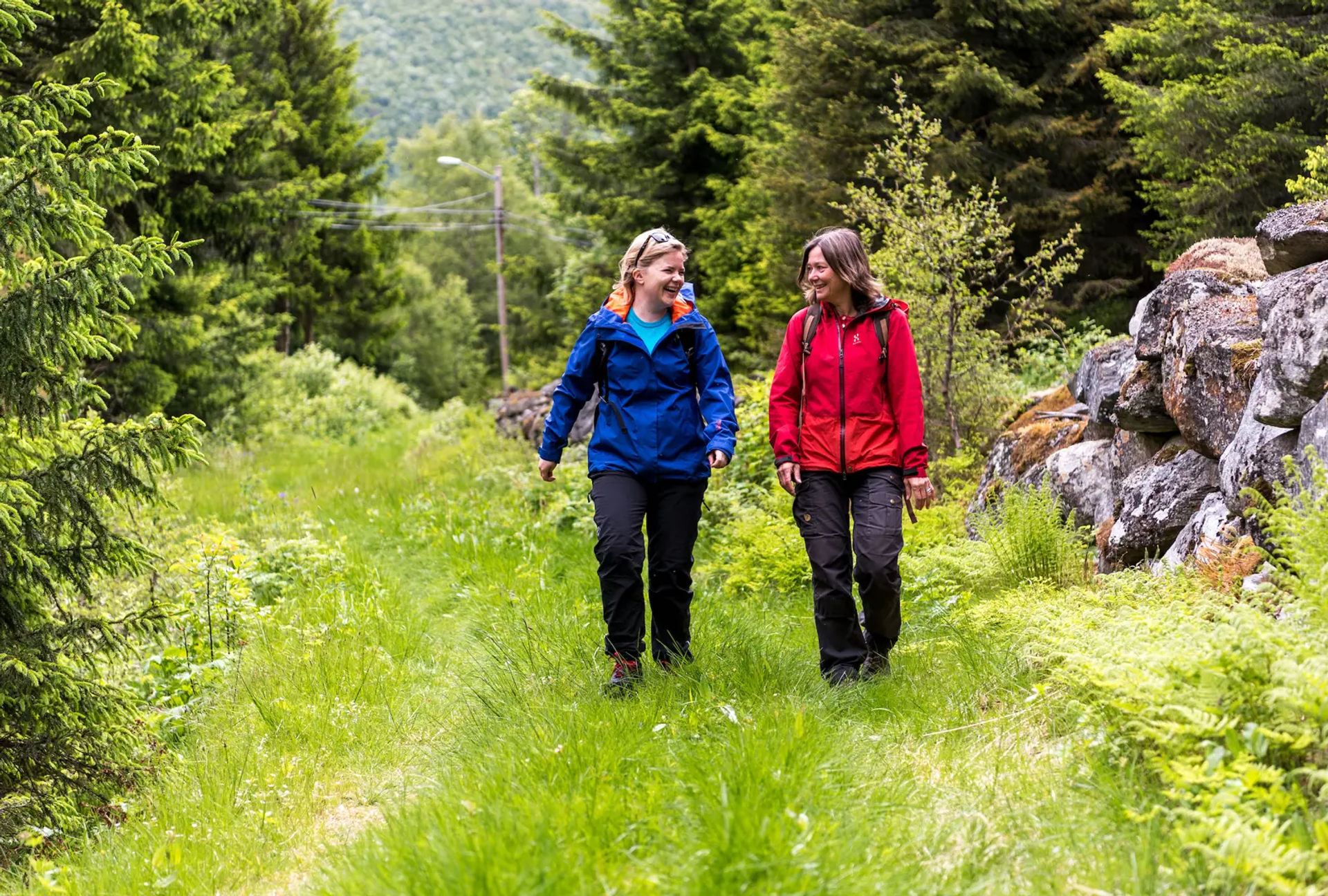 Hiking the Kings Road by Filefjell