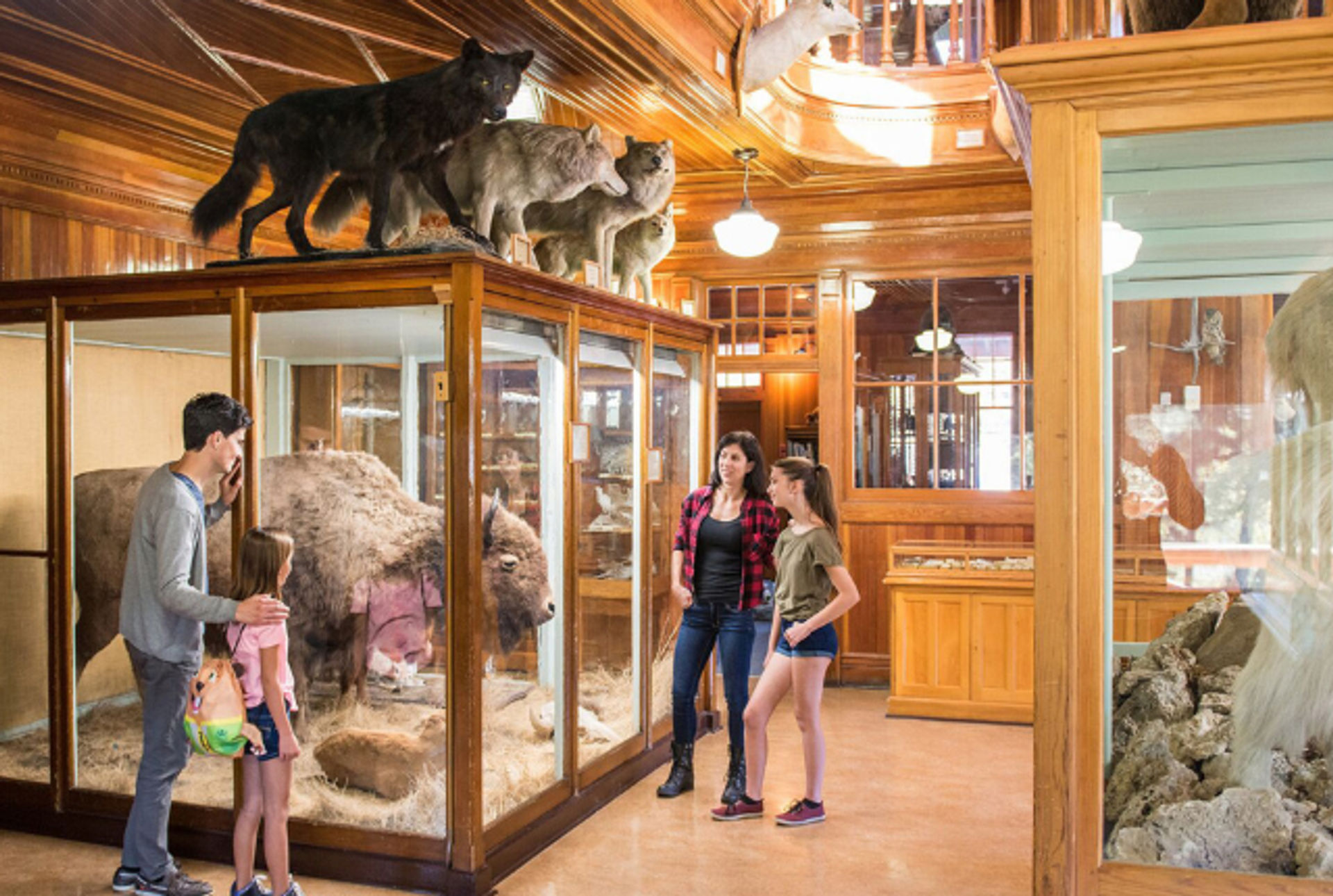 Banff Park Museum