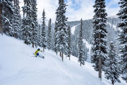 Cover the Best Glades and Tree Runs at Ski Big3 Rueben Krabbe