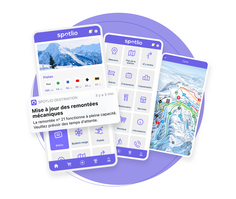 Lite Hero Image Ski Landing a Fr