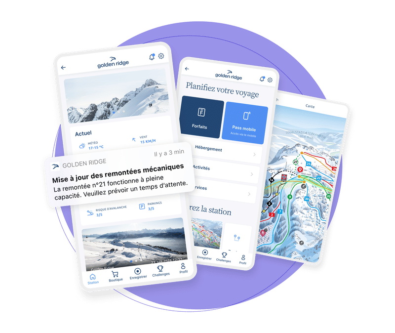 Lite Hero Image Ski Landing a Fr