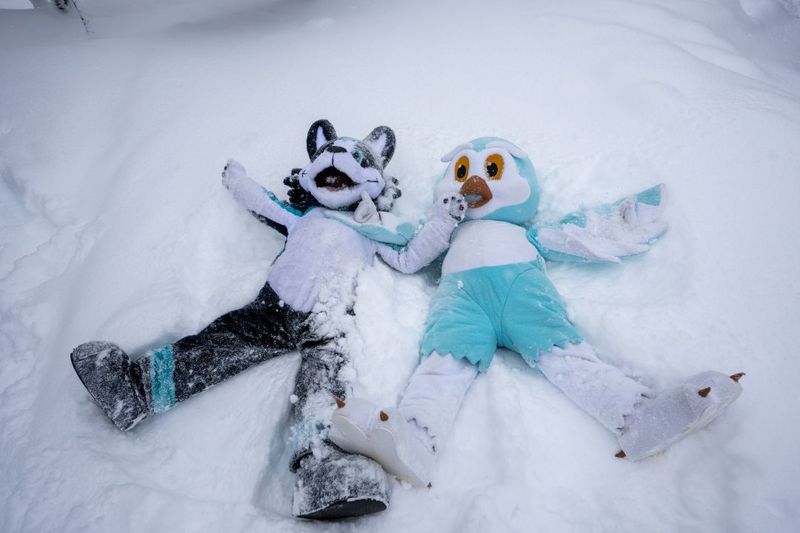 Huski Og Flaks Vinter