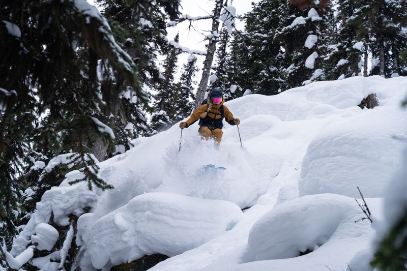 03 the Best Glades and Tree Runs at Ski Big3 Jill Scarpato